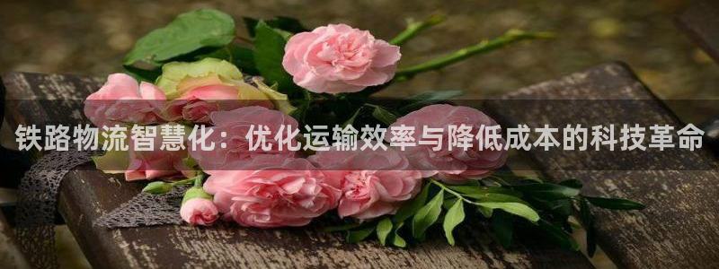 ,优游国际是什么是赌博吗?：铁路物流