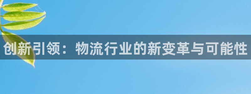 ,优游国际加拿大：创新引领：物流行业