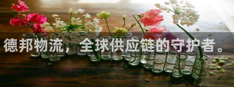 ,优游国际官方版正版