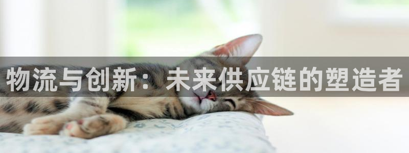 ,优游国际h5链接