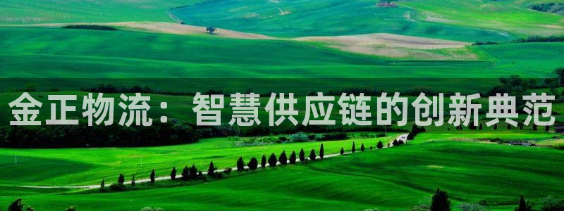 ,优游国际充值方式：金正物流：智慧供应链的创新典范