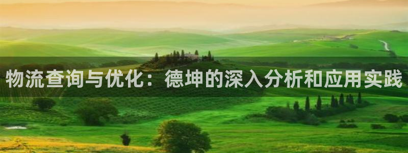 ,优游国际app怎么注册账号：物流查询与优化：德坤的深入分析