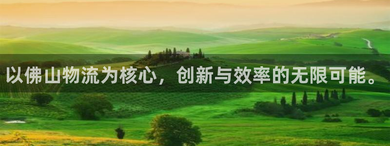 ,优游国际怎么注册下载：以佛山物流为
