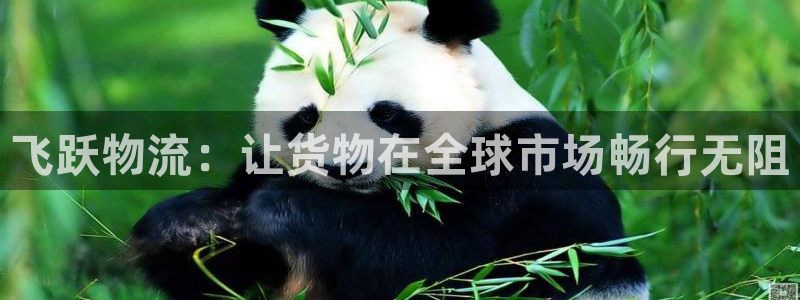 ,优游国际龙虎：飞跃物流：让货物在全