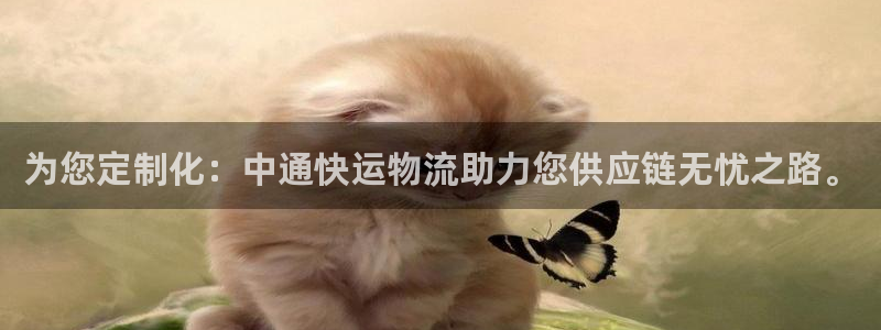 ,优游国际网站平台是多少：为您定制化