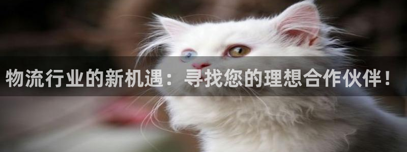 ,优游国际注册用户名是什么：物流行业