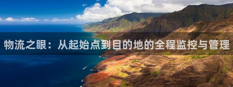 ,优游国际如何注销账号:物流之眼:从