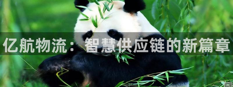 ,优游国际哪个最赚钱：亿航物流：智慧
