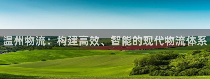 ,优游国际pg麻将胡了：温州物流：构