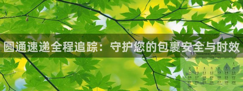 ,优游国际是啥