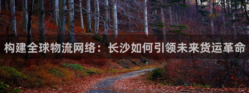 ,优游国际初始密码在哪里修改的
