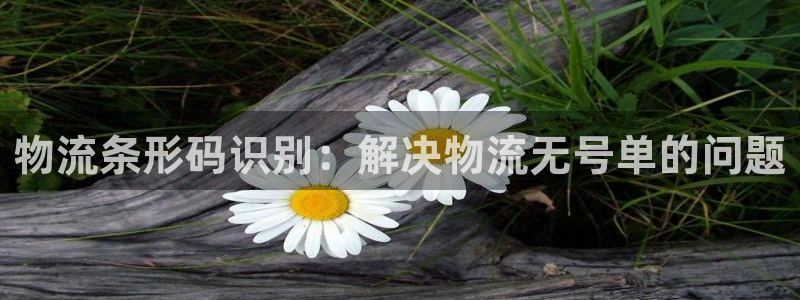 ,优游国际预测网：物流条形码识别：解