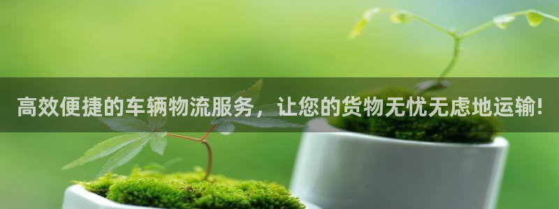 优游国际官方网站：高效便捷的车辆物流