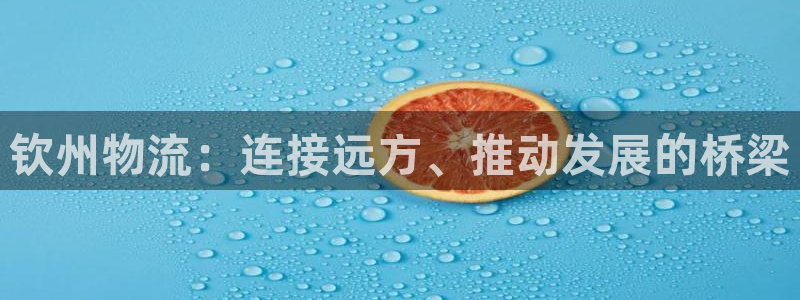 ,优游国际模拟器：钦州物流：连接远方