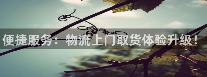 ,优游国际注册上限是啥意思：便捷服务