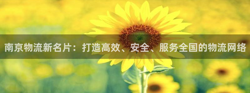 ,优游国际游戏最新版：南京物流新名片