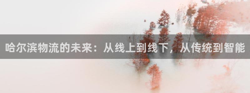 ,优游国际怎么注册:哈尔滨物流的未来