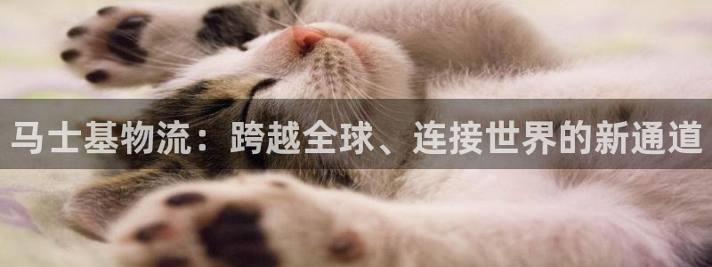,优游国际充值方式:马士基物流:跨越