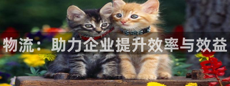 ,优游国际软件是什么：物流：助力企业