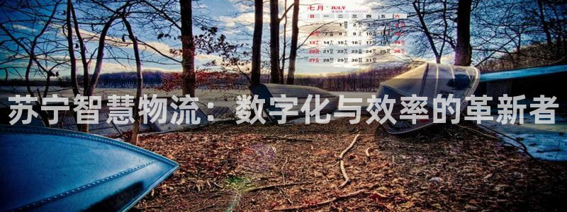 ,优游国际现在狂杀:苏宁智慧物流:数