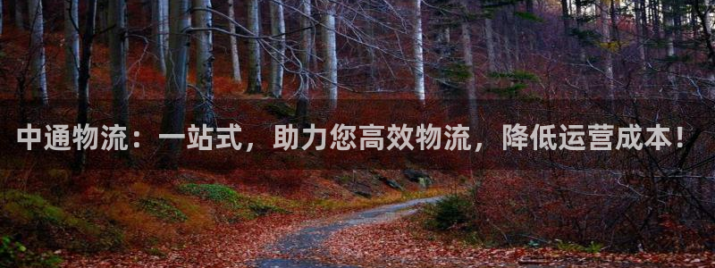 ,优游国际赌博软件正规吗