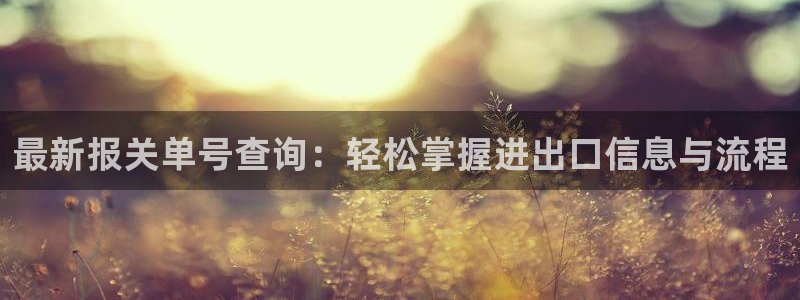 ,优游国际h5链接:最新报关单号查询