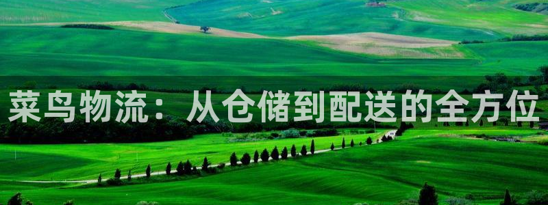 ,优游国际网站平台是多少：菜鸟物流：从仓储到配送的全方位