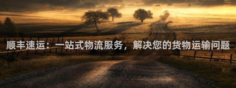 ,优游国际是什么是赌博吗?:顺丰速运