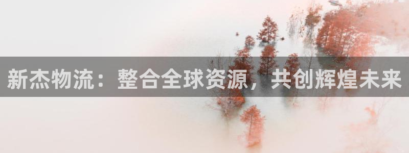 ,优游国际是啥:新杰物流:整合全球资