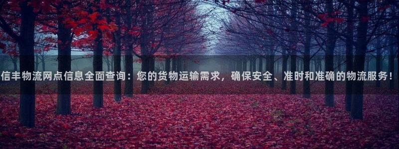 ,优游国际加拿大怎么玩:信丰物流网点