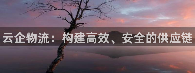 ,优游国际注册流程:云企物流:构建高