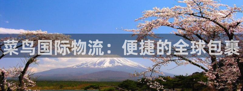 ,优游国际ip被限制怎么解决:菜鸟国