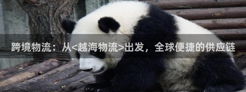 ,优游国际app注册地址