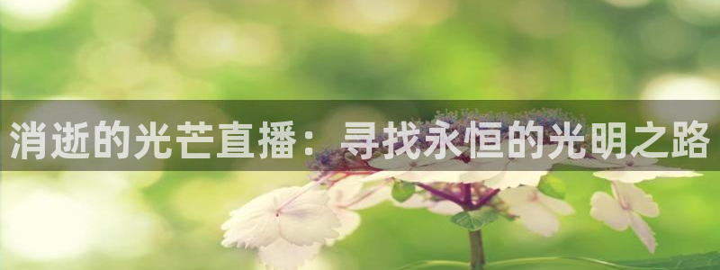 24直播 体育：消逝的光芒直播：寻找永恒的光明之路