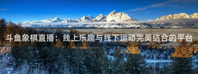 24直播网nba直播jrs：斗鱼象棋直播：线上乐趣与线下运动完美结合的平台