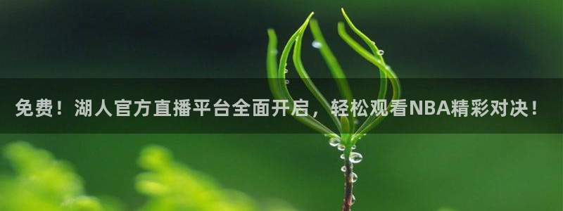 nba在线观看免费观看24直播网：免费！湖人官方直播平台全面开启，轻松观看NBA精彩对决！