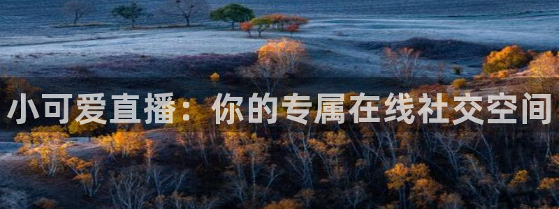 24直播：小可爱直播：你的专属在线社交空间