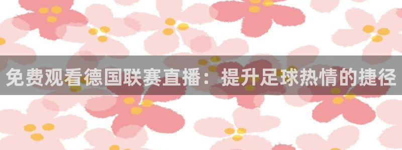 24直播nba免费观看：免费观看德国联赛直播：提升足球热情的捷径