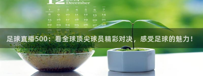 24直播网体育在线直播女排联赛：足球直播500：看全球顶尖球员精彩对决，感受足球的魅力！