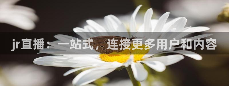 24直播网官网：jr直播：一站式，连接更多用户和内容