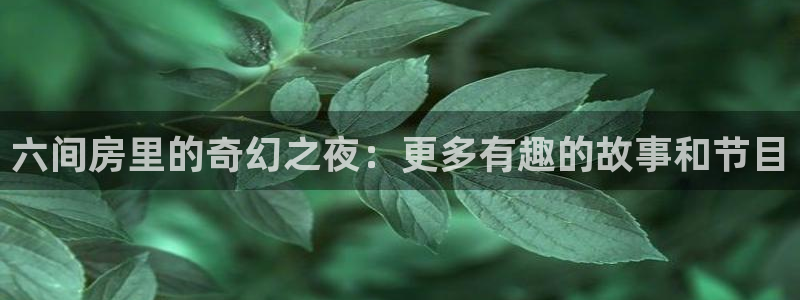 24直播网nba直播吧,足球直播五大联赛：六间房里的奇幻之夜：更多有趣的故事和节目