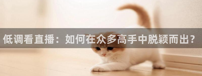 24直播网体育下载：低调看直播：如何在众多高手中脱颖而出？